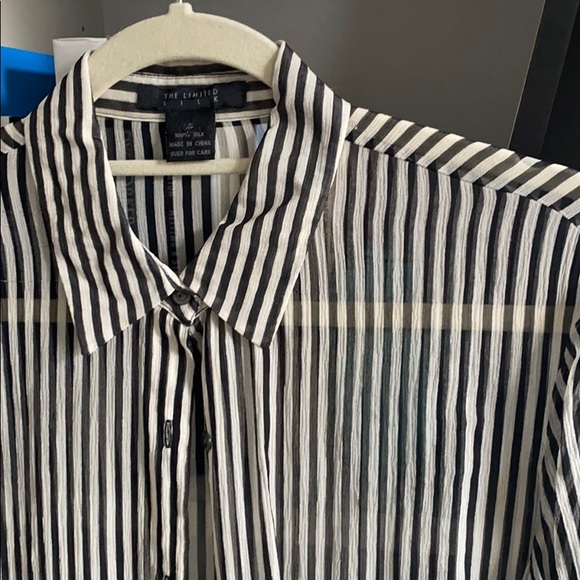 Vintage Sheer Blouse - Picture 2 of 3